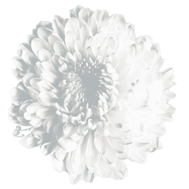 LoveOfferings